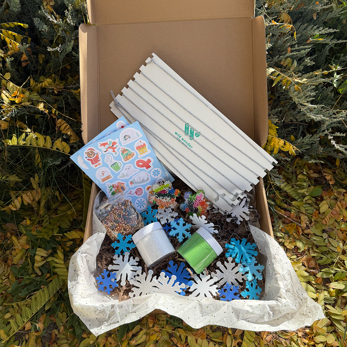 Winter Activity Kit - PREORDER